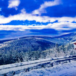 BG-BANER-1