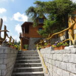 DSC06848